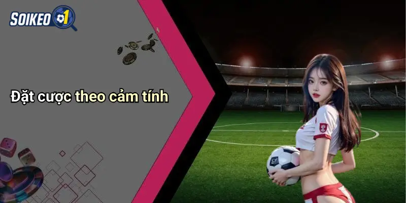 Đặt cược theo cảm tính