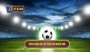 Cách chọn kèo an toàn cho người mới