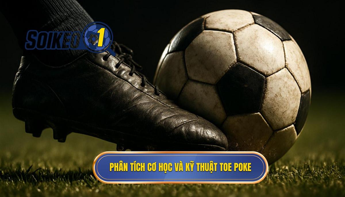 Phân tích Cơ học và Kỹ thuật thực hiện Toe Poke