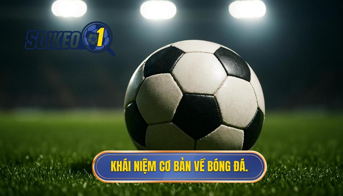 Thế giới kèo bóng đá cho người mới và những khái niệm nền tảng