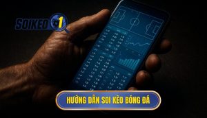 thumb - hướng dẫn soi kèo bóng đá