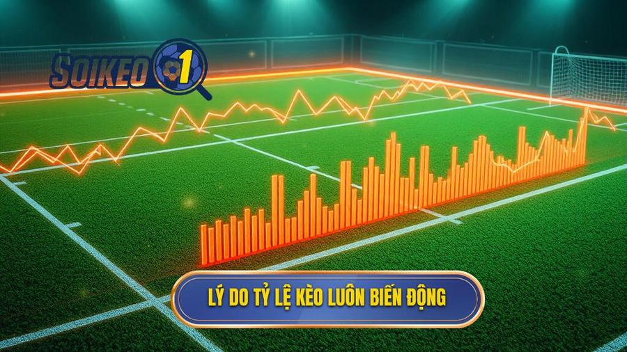 Lý do tỷ lệ kèo luôn biến động