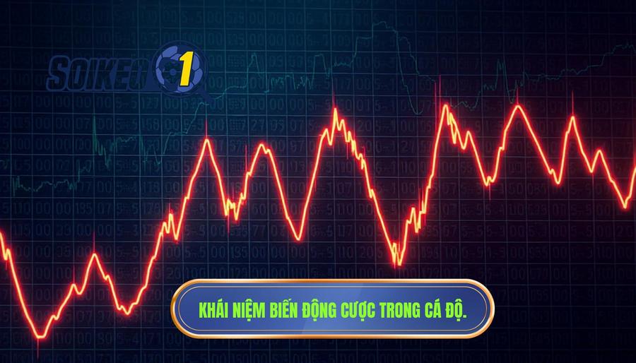 Khái niệm biến động cược trong cá độ